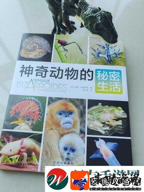 最新美国
