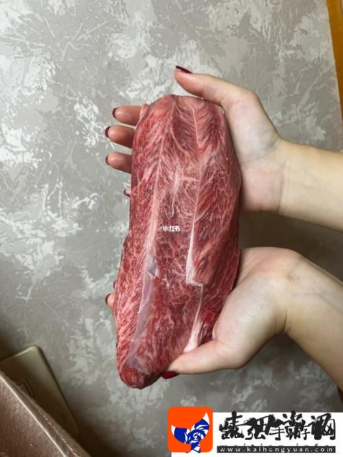 大肉大捧一进一出的视频