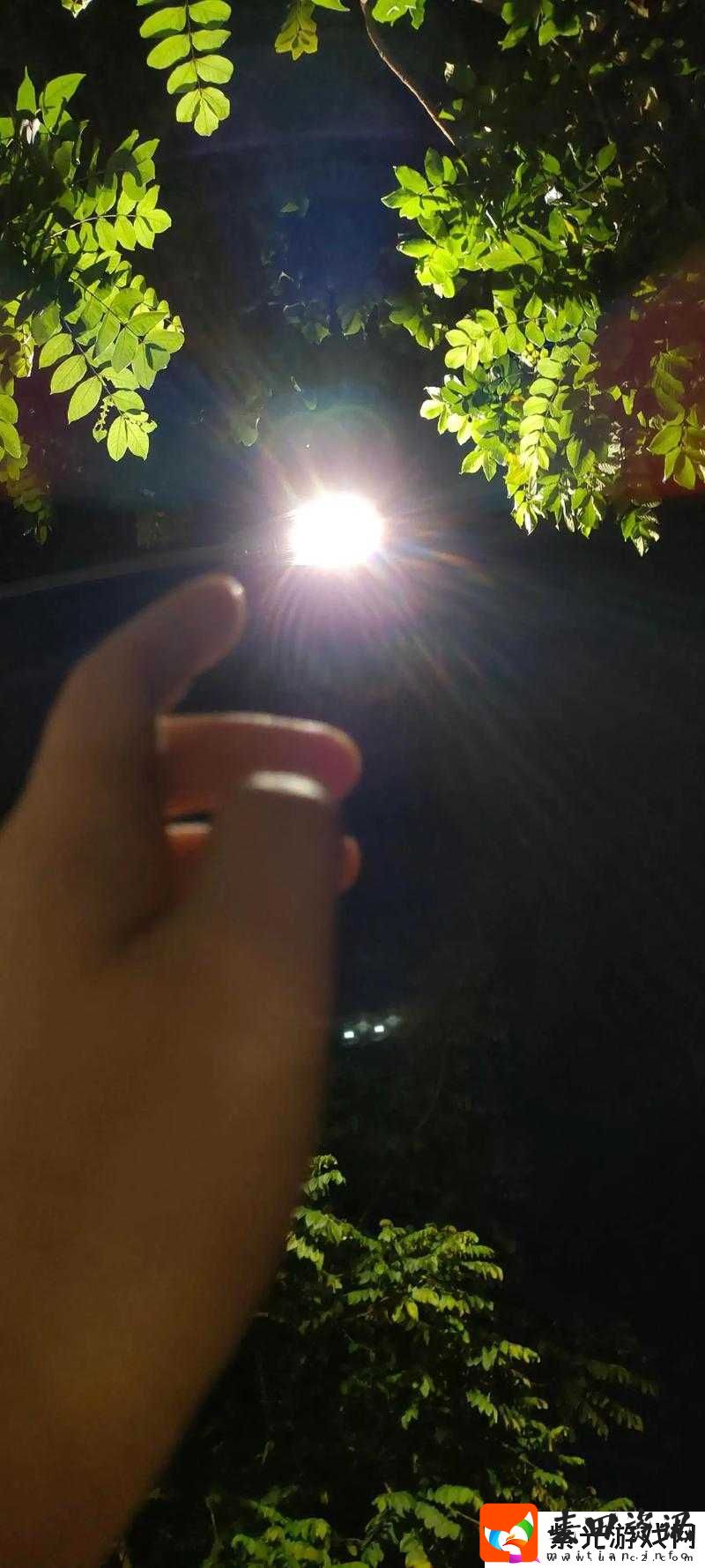 暗夜在线使用