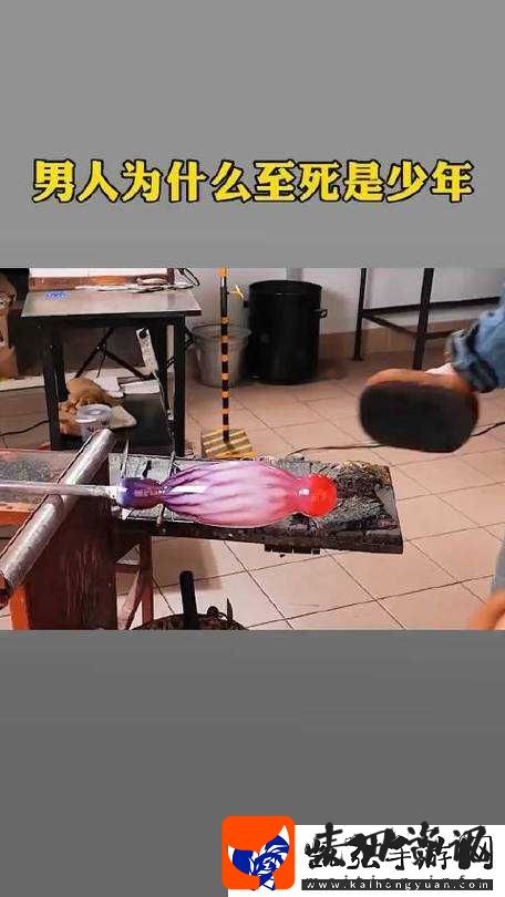 奇趣视频