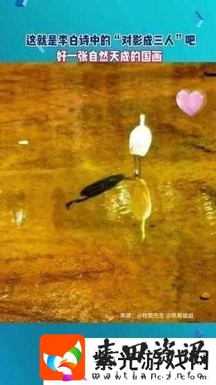 影之诗深渊鬼克星