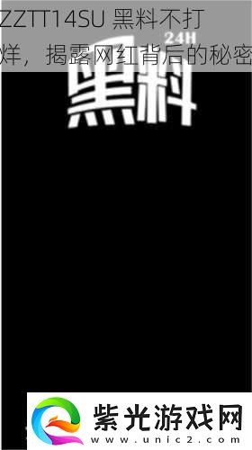 ZZTT14SU黑料不打烊揭露红背后的秘密