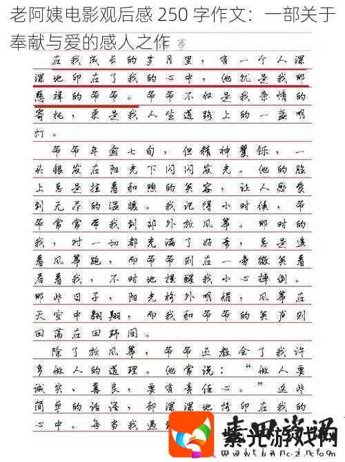 老阿姨电影观后感
