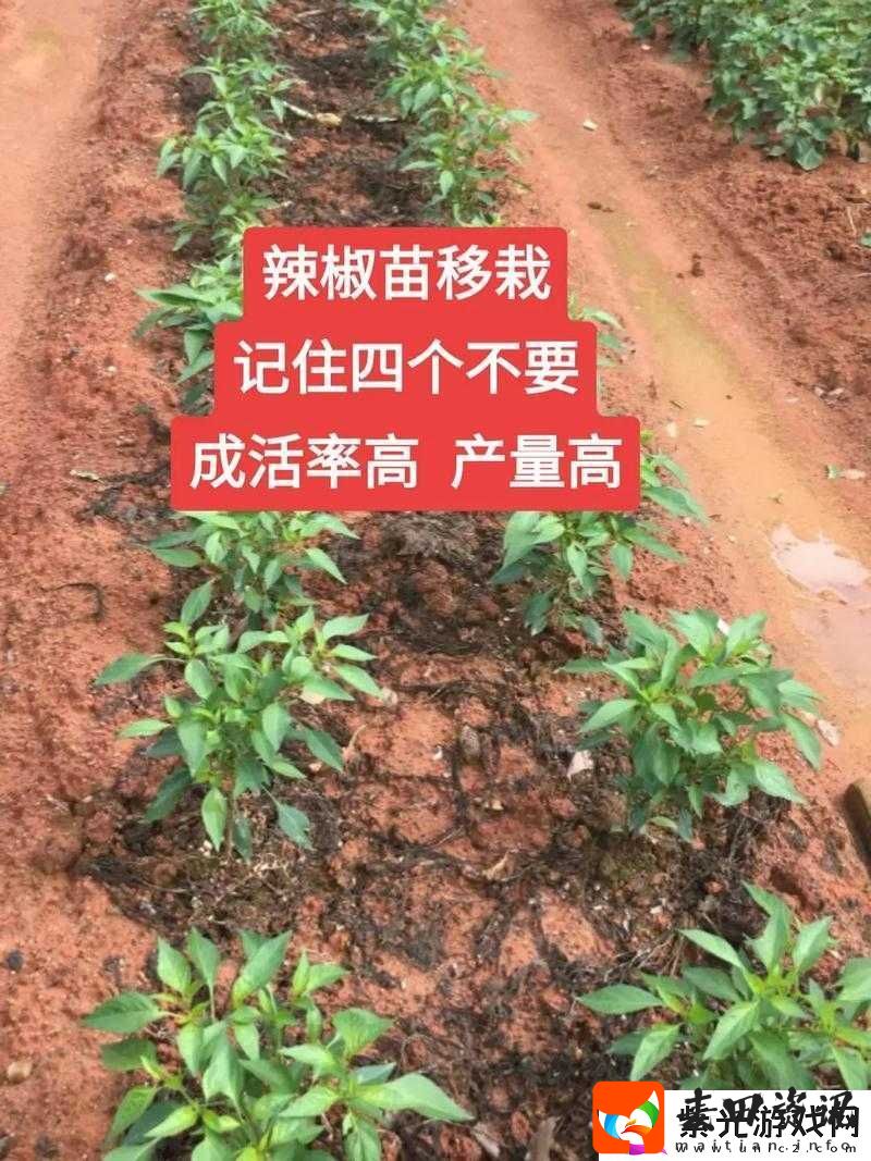 解密义军超市门