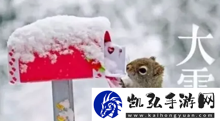 大雪文案大全