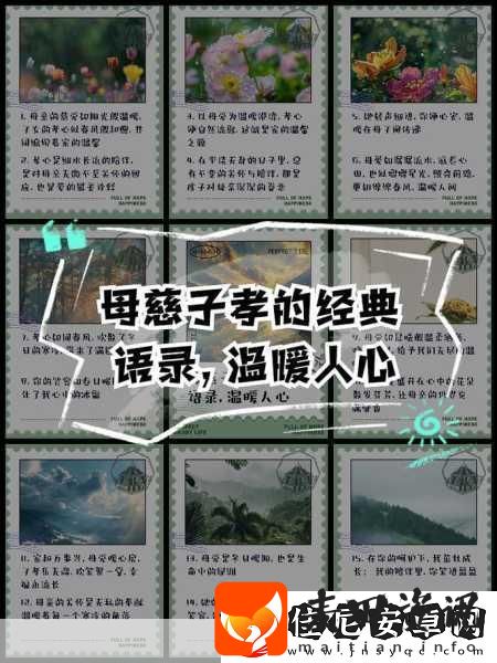母慈子孝共天伦