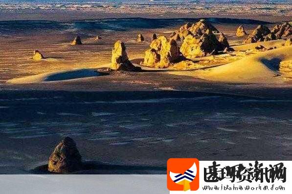 无人一区二区区别是什么意思