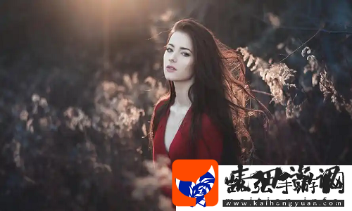 国内永久免费SaaS