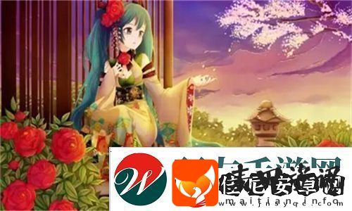 法国满天星八尺夫人菲律宾