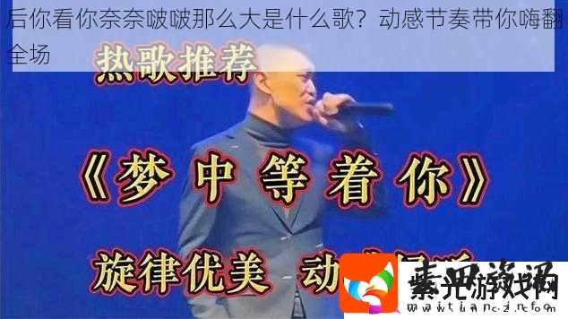 后你看你奈奈啵啵那么大是什么歌动感节奏带你嗨翻全场