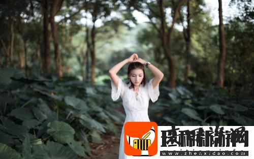 免费网站在线观看人数在哪省