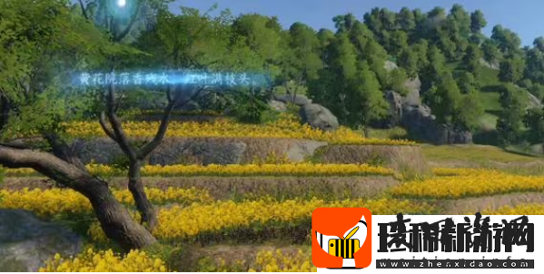 逆水寒手游磁州词话油菜花田任务怎么完成