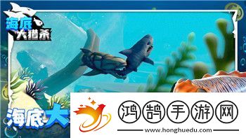 战争游戏红龙单位介绍及其在战场中的战略运用与战术优势解析