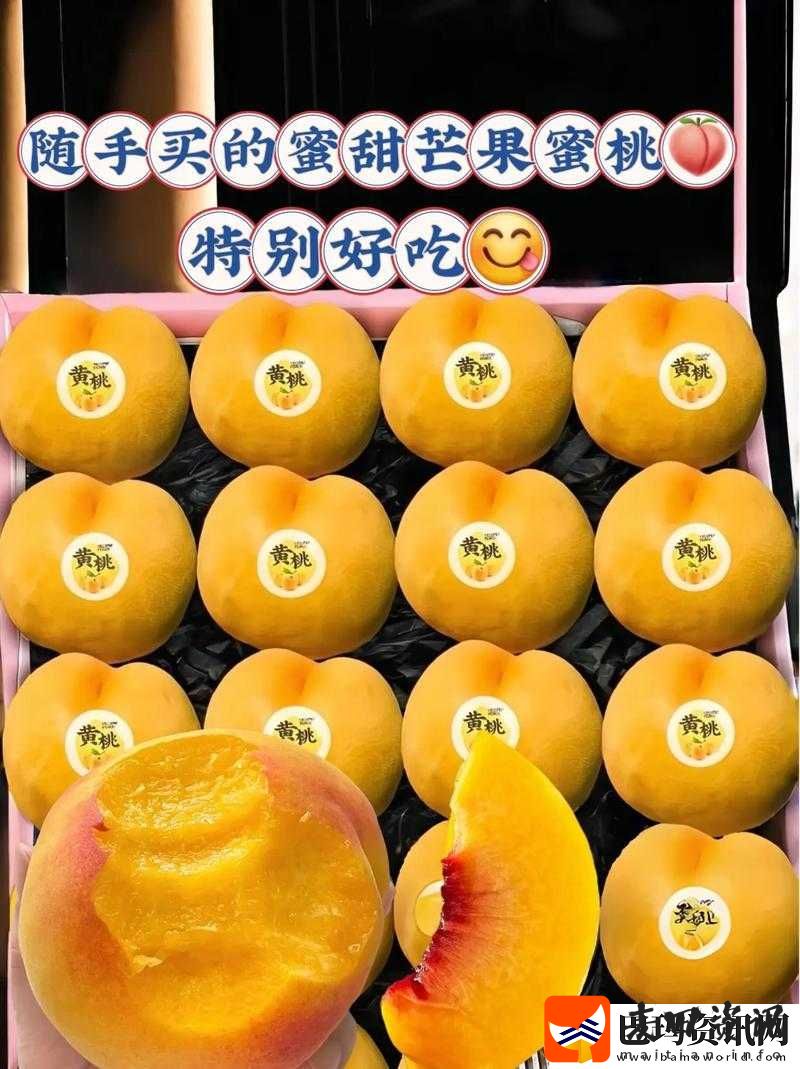 最新蜜桃视频免费观看