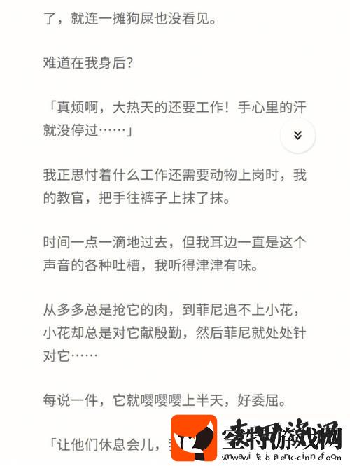 挑逗与禁忌的边界——“爽