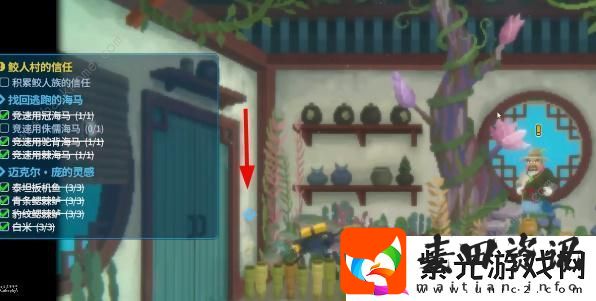 潜水员戴夫找回逃跑的海马任务怎么做