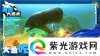 极品飞车17改装指南