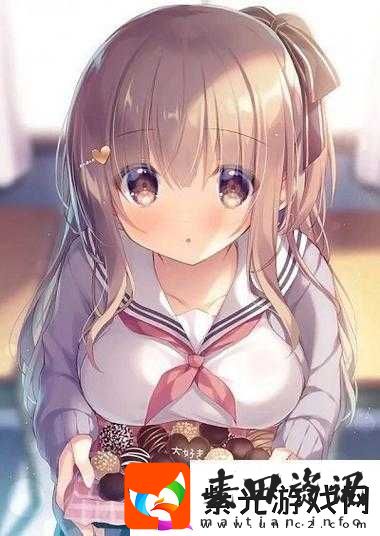 欧美一曲二曲三曲的区别之深入探究与详细分析