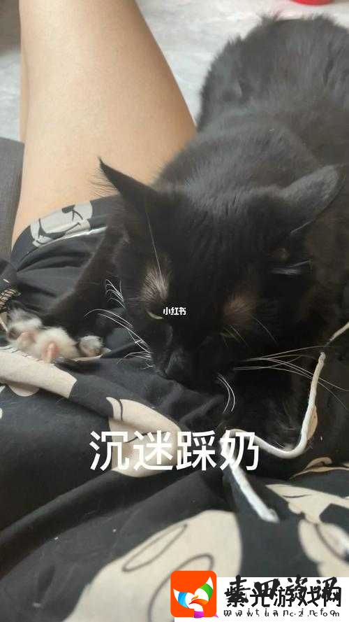 嗟嗟嗟嗟嗟嗟嗟好痛