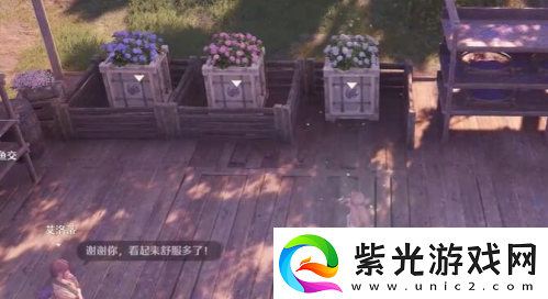 无限暖暖花箱的秩序每日任务图文并茂步骤