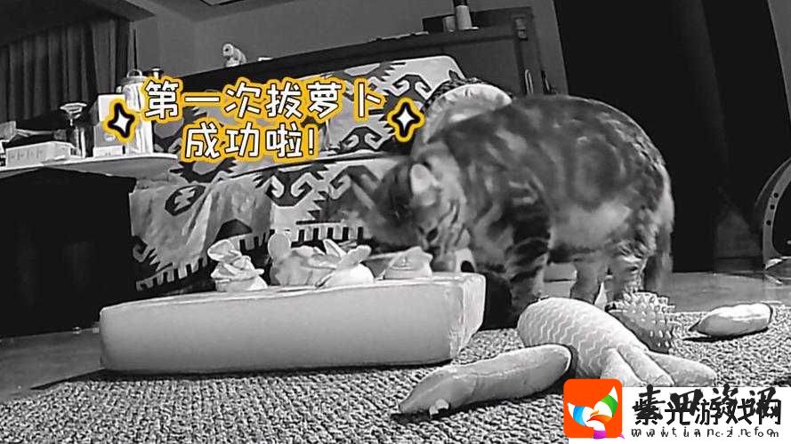 二人世界拔萝卜生猴子