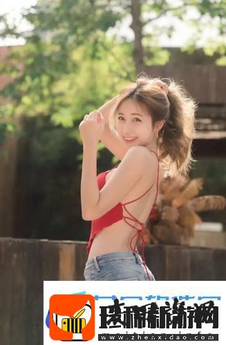 巨大的欧美市场