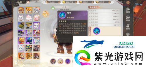 天龙八部2飞龙战天哪个宠物好