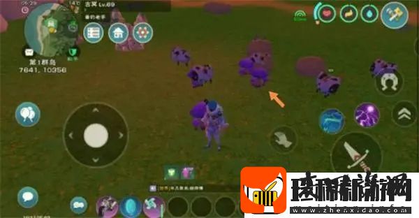 创造与魔法毒蘑菇位置
