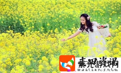 一色一伦一区二区三区
