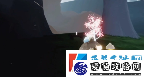 光遇怎么赏花