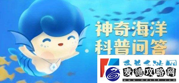 考考你