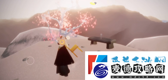 光遇怎么赏花
