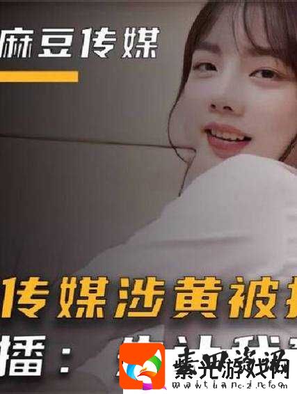 麻豆传煤入口免费进入2023