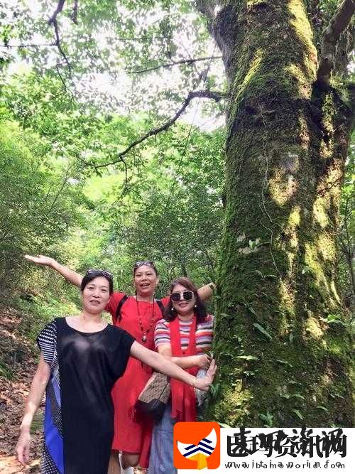 绝世唐门手游