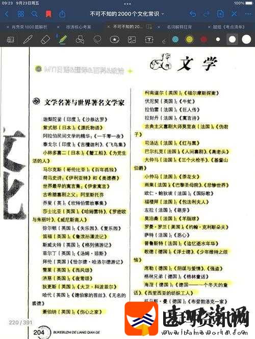 大熊探花文学系种子
