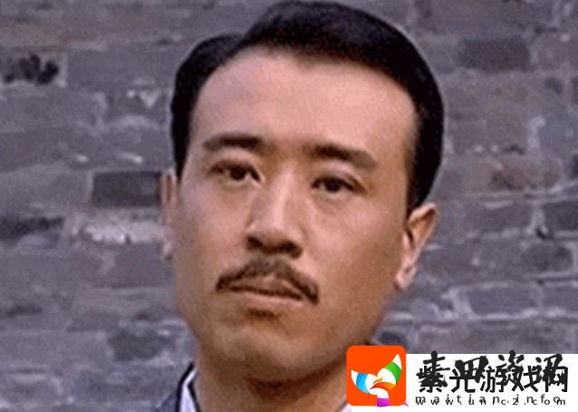 我就是玩儿体是什么梗络用语