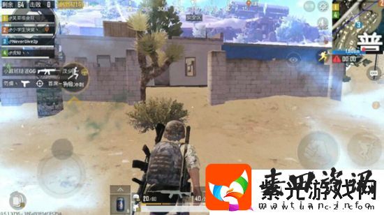 绝地求生刺激战场普罗港点位攻略详解