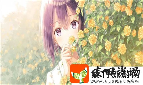 尺寸po长耳兔