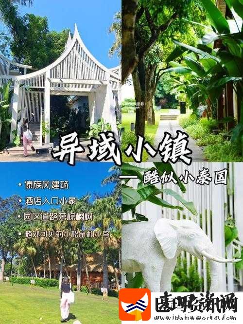 探秘一步成神的独门绝学