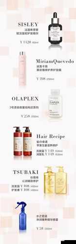 成品网源码