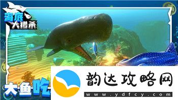 双人成行完整攻略——深入解析合作模式与游戏技巧