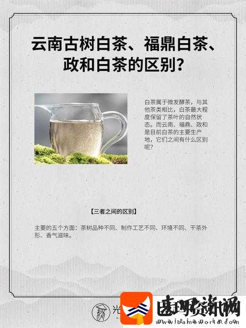 一产区与二产区的产品区别