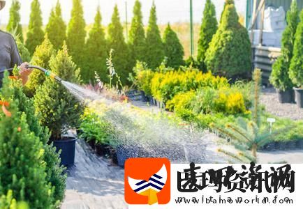 探索hp公交车灌溉系统几个装修工人的决策与挑战青松资讯
