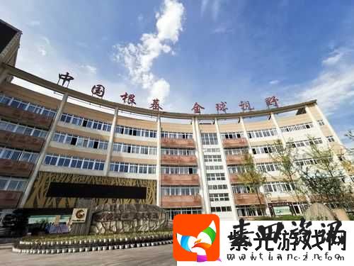 亚洲成人榜相关内容及精彩呈现