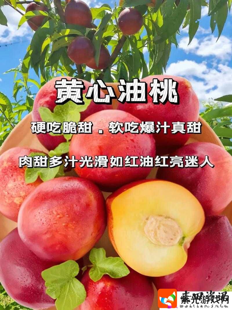 桃子植入的