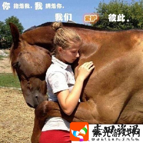 萌宠奇缘