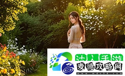 如何选择适合自己的电视剧观看平台