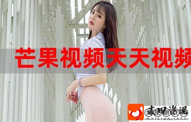探索“今天高清视频免费播放大全”的无限可能