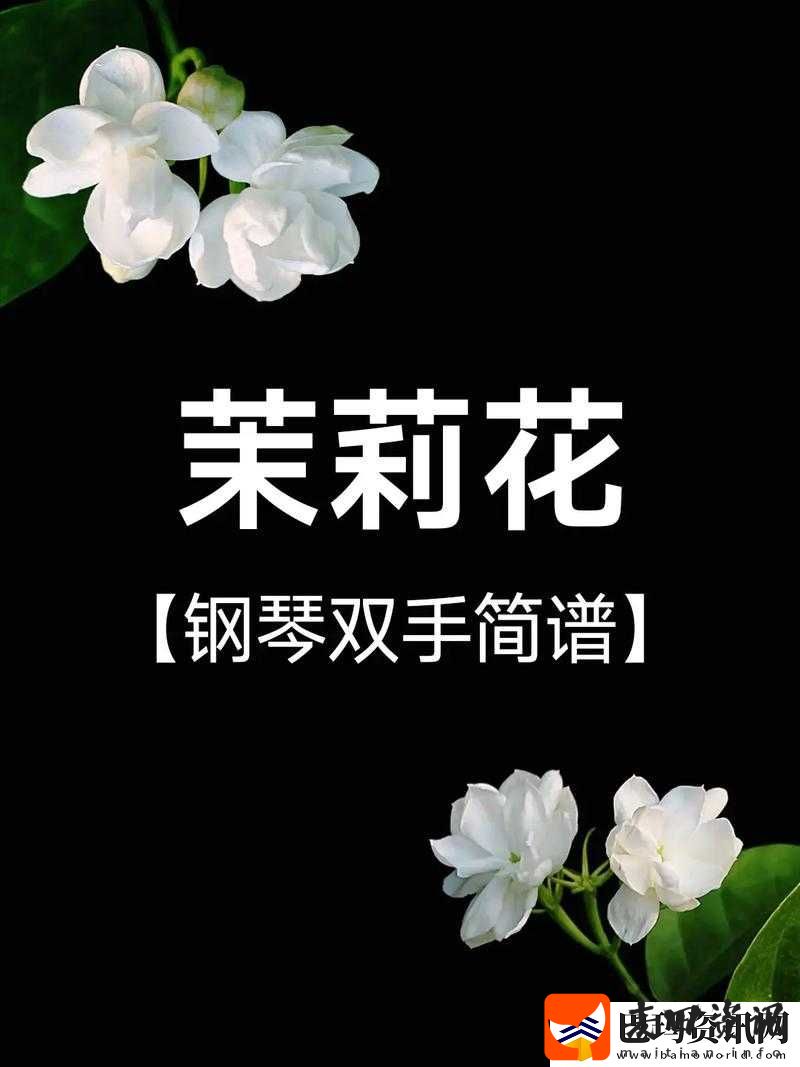 ***看片影视大全版本大升级