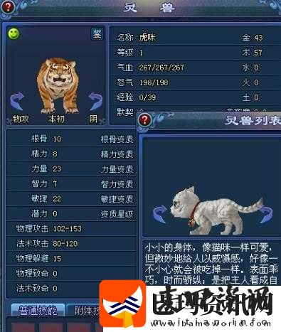 倩女幽魂手游萌宠虎咪深度剖析
